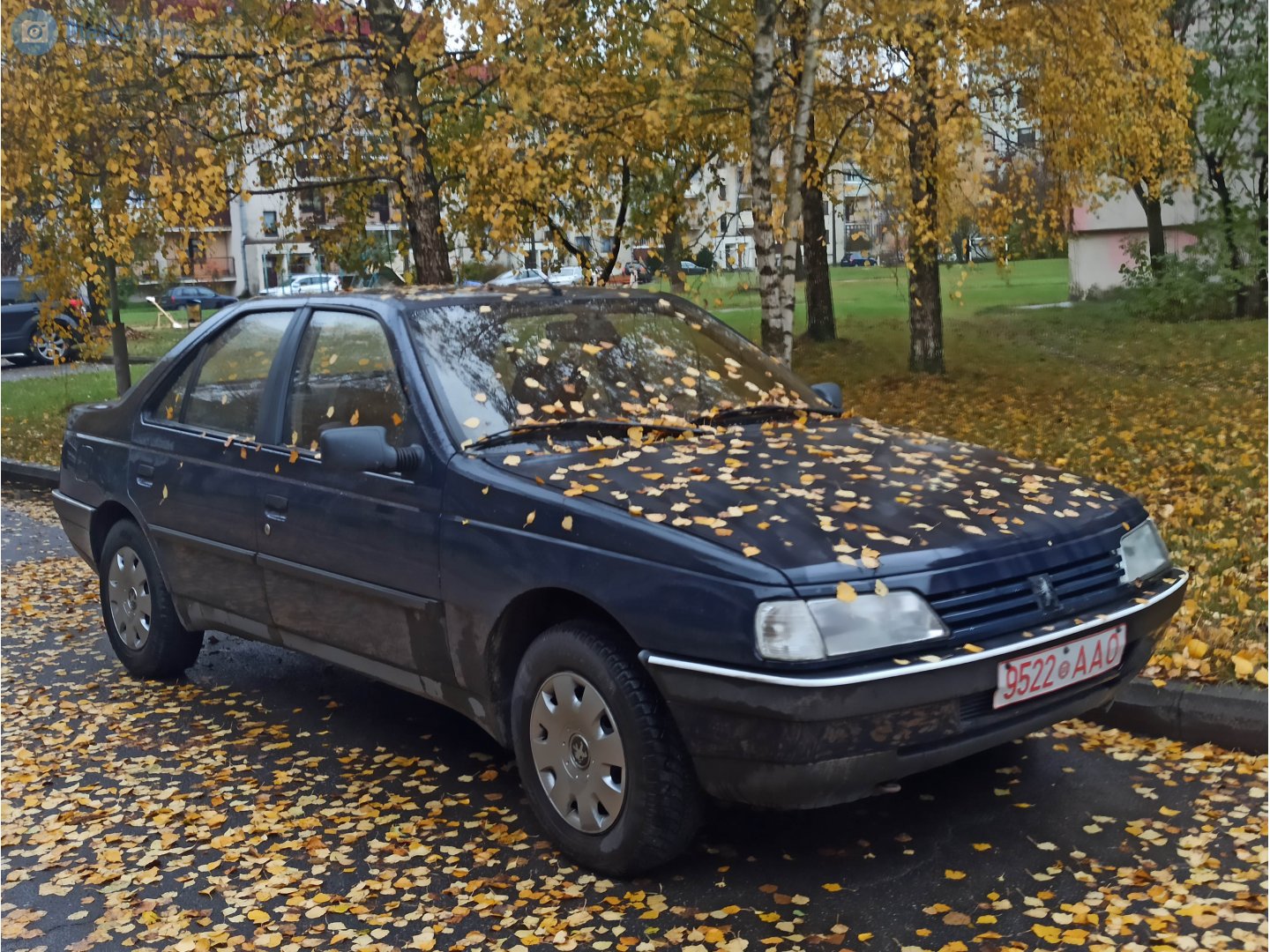 9522 AAO, Peugeot 405 1st gen Sedan (D6/D7), 1987–1996 (2019– for AZ-market)