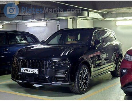 996 AXQ 01, Lynk & Co 09