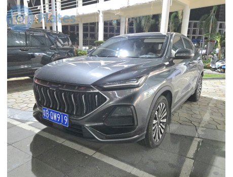 琼B·QW919, Oshan (Oushang) X5