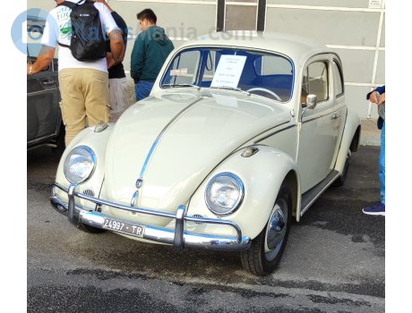 24997 TR, Volkswagen Beetle