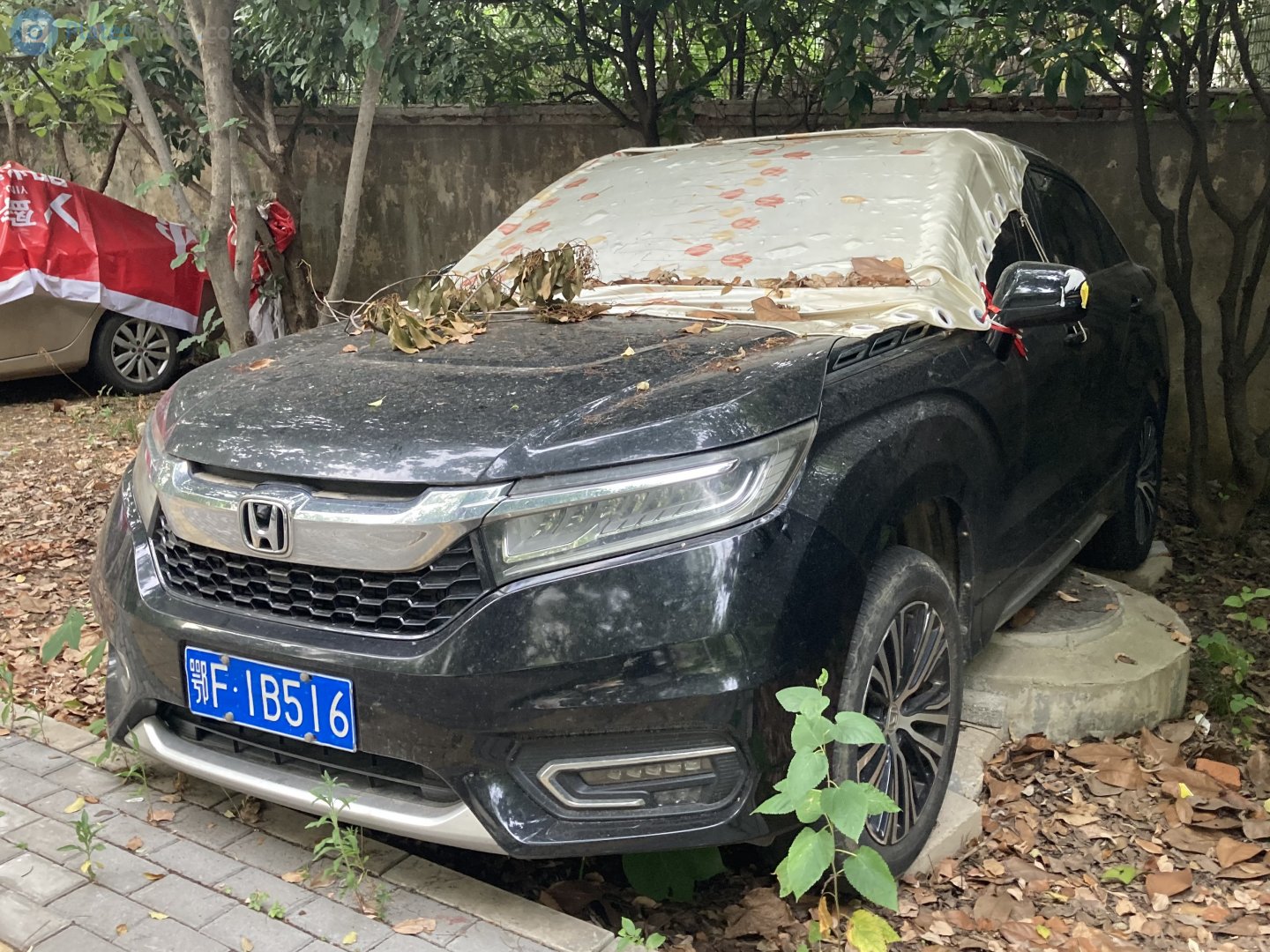 鄂F·1B516, Honda Avancier 2nd gen (TG1–TG3; CN-market), 2016–2020