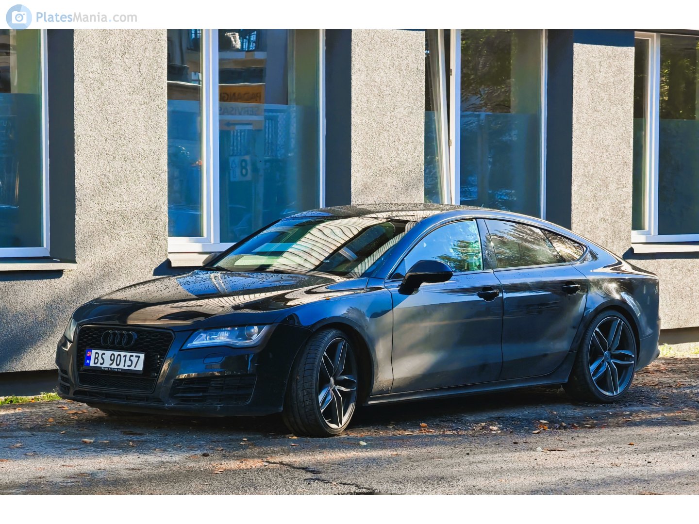 BS 90157, Audi A7 1st gen (C7/4GA/4GF), 2010–2014