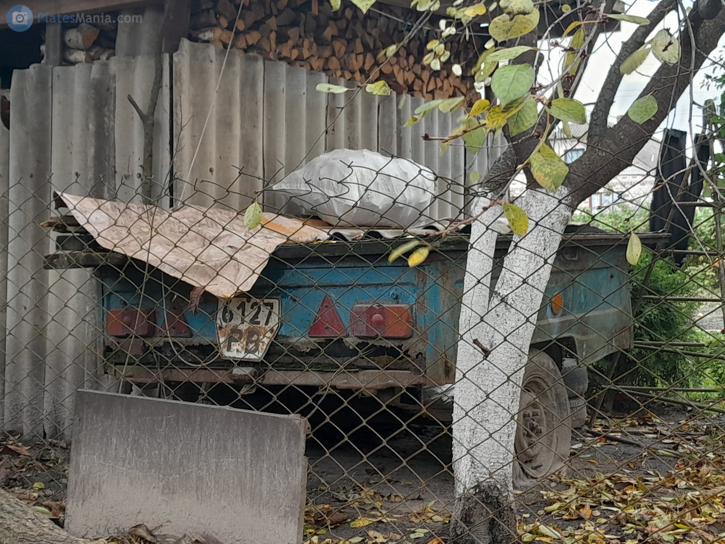 6127 РВ, MAZ 8111/8114 8114