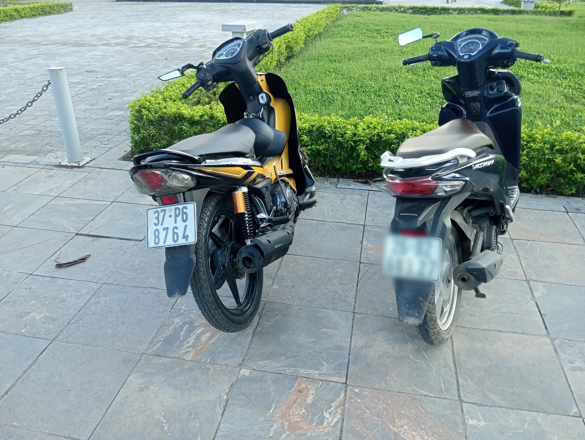 37-P6 8764, Yamaha Sirius 