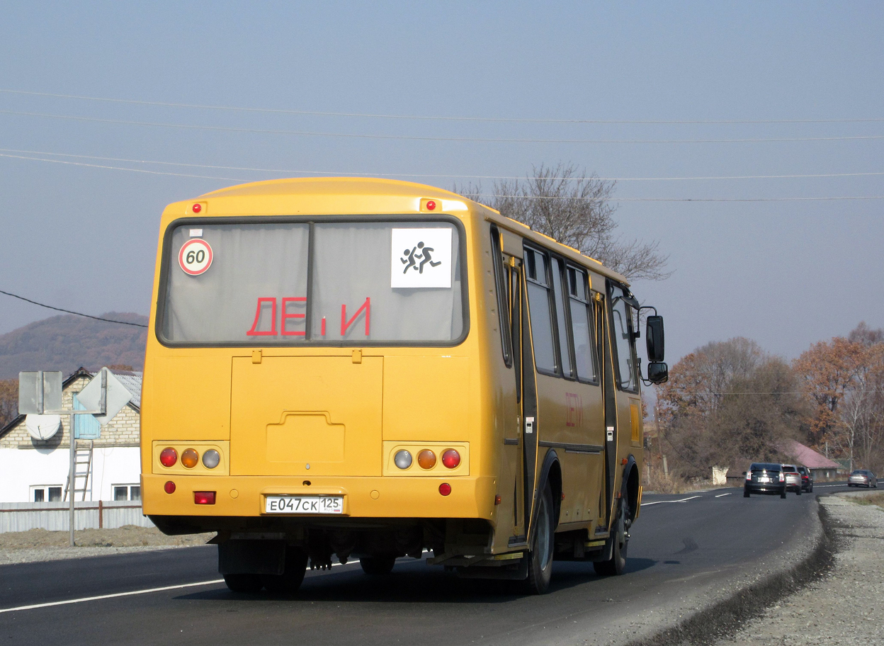 е 047 ск 125, PAZ 4234 4234-70 School, facelift, 2015­–