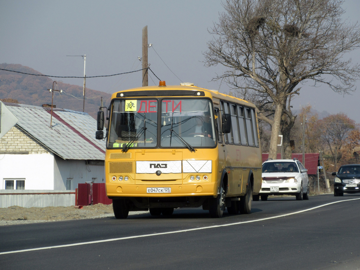 е 047 ск 125, PAZ 4234 4234-70 School, facelift, 2015­–