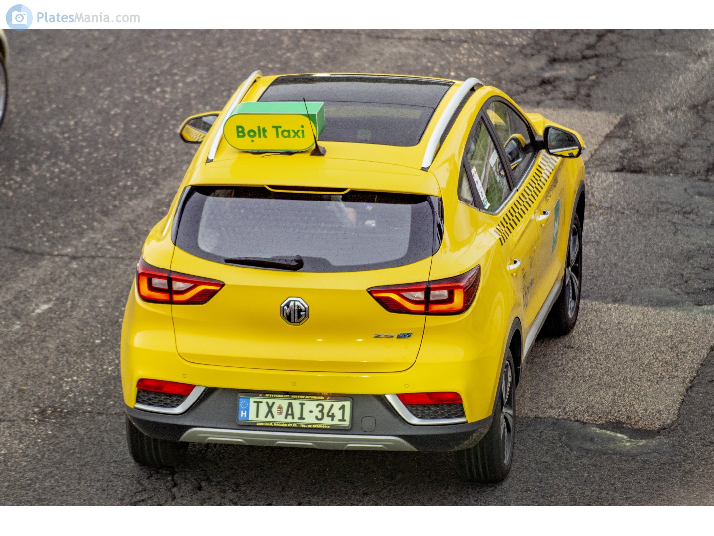 TX AI-341, MG ZS SUV 1st gen EV (ZS11), 2018–2021