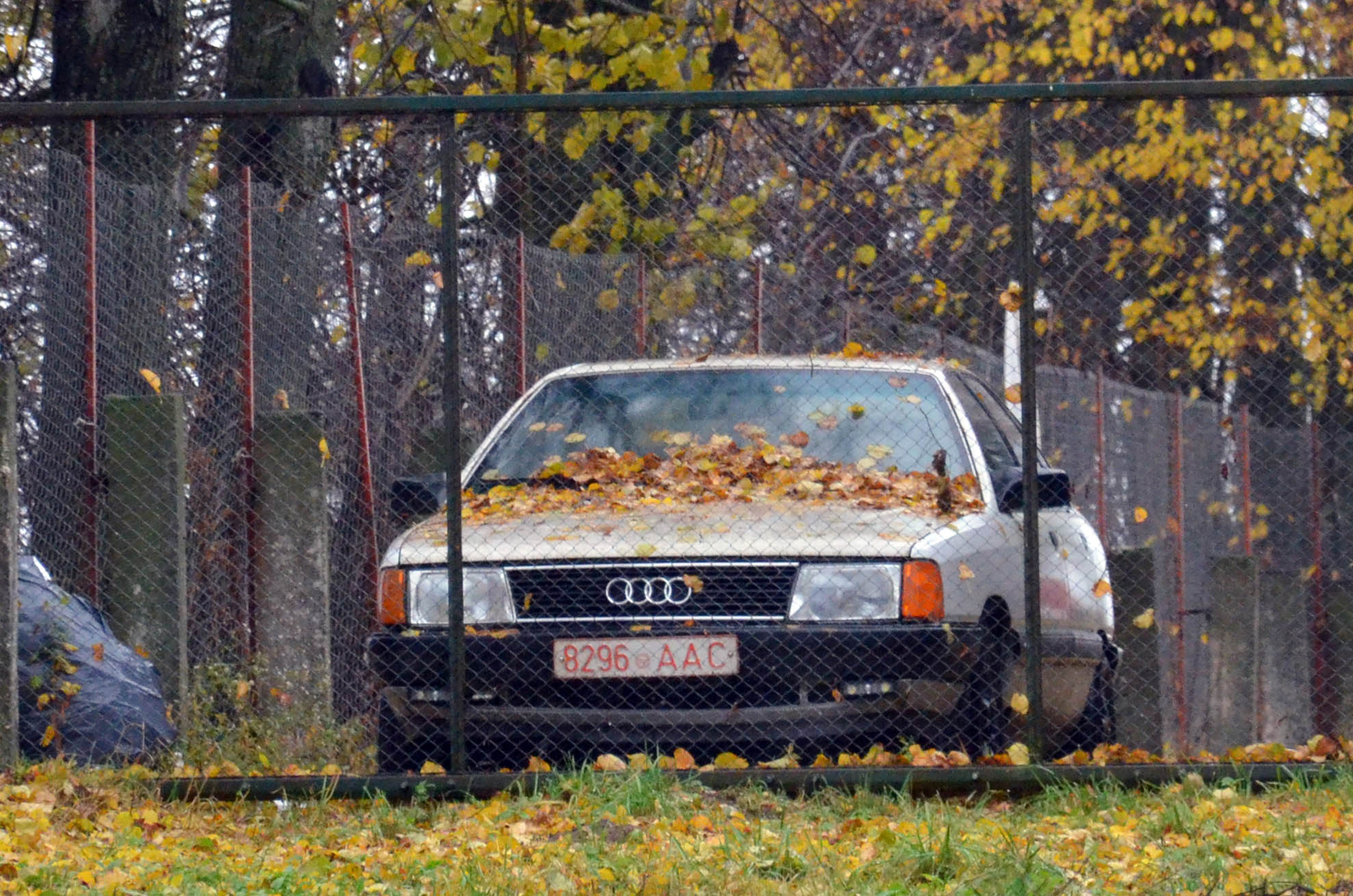 8296 AAC, Audi 100 3rd gen Sedan (C3/44), 1982–1991