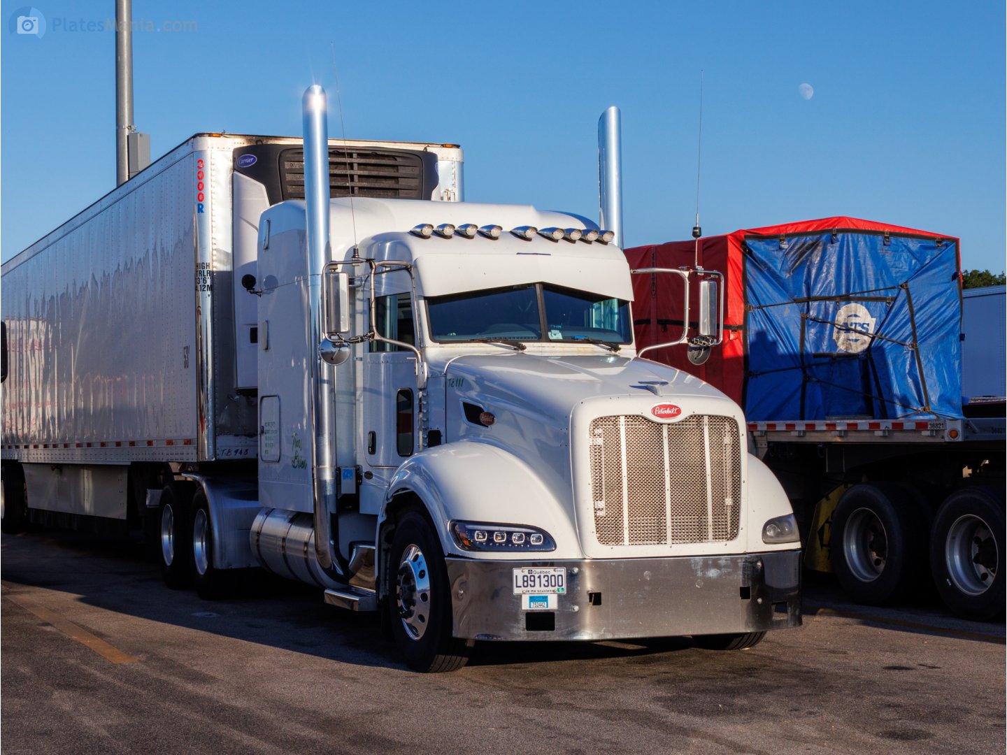 L891300, Peterbilt 386 