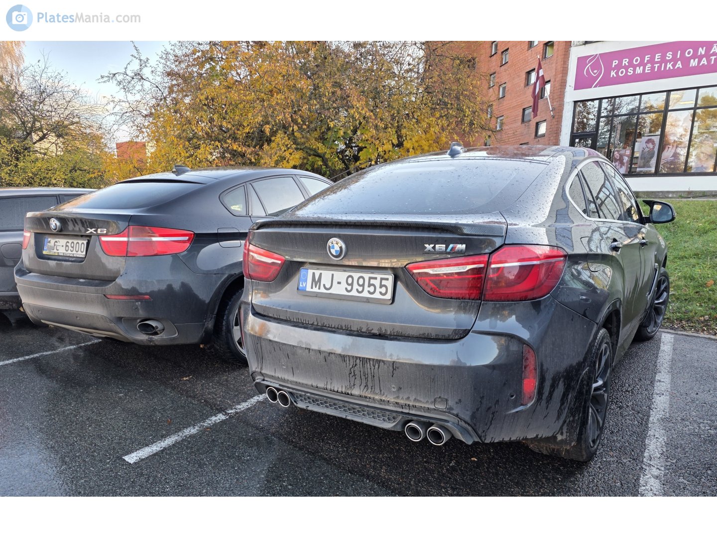 MJ-9955, BMW X6M 2nd gen (F86), 2015–2019