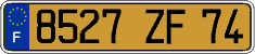 French license plate, FNI