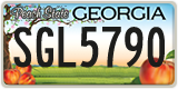 Georgia, ABC 1234