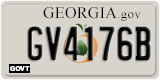 Georgia, Government (GV1234X)
