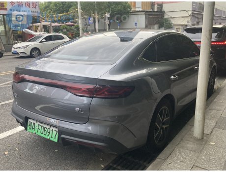 鄂A·F06917, BYD Qin