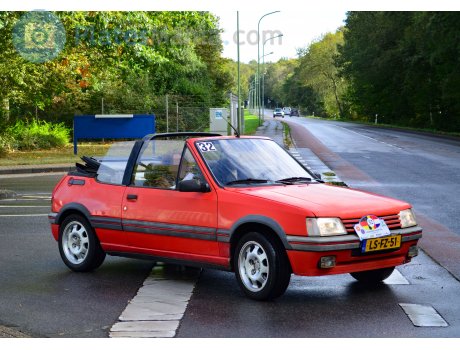 LS-FZ-51, Peugeot 205