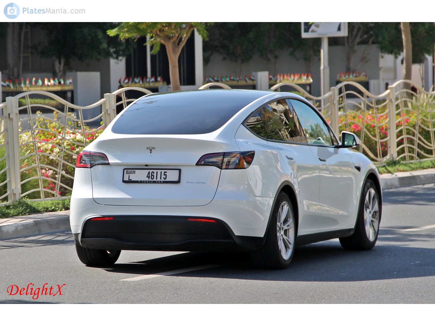 L 46115, Tesla Model Y 1st gen (5YJY), 2020–2025