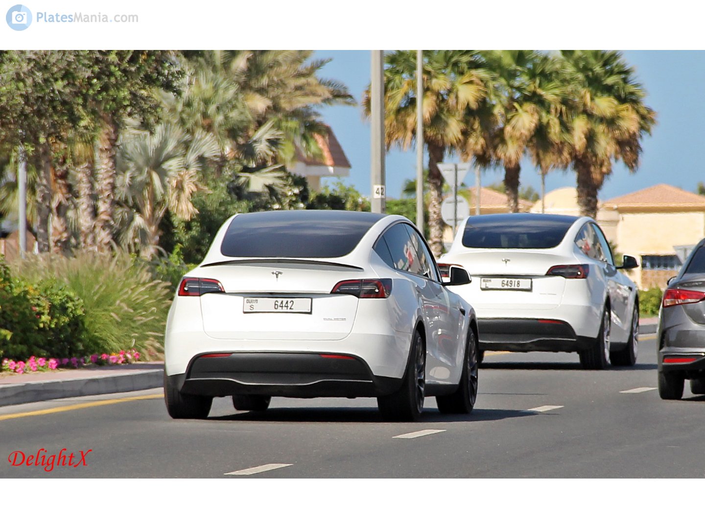 S 6442, Tesla Model Y 1st gen (5YJY), 2020–2025