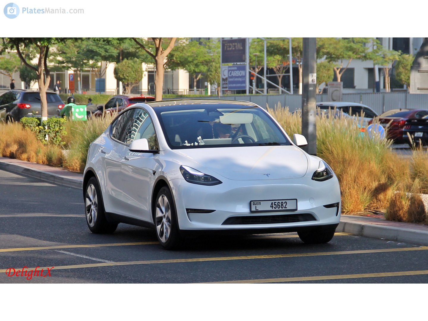 L 45682, Tesla Model Y 1st gen (5YJY), 2020–2025