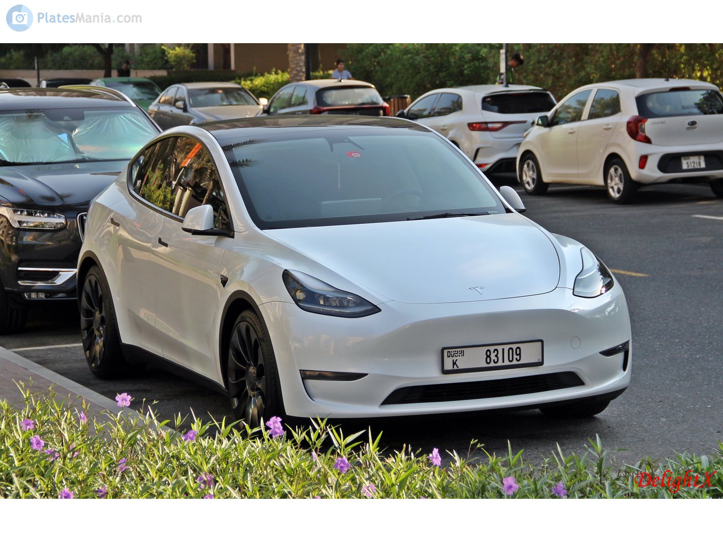 K 83109, Tesla Model Y 1st gen (5YJY), 2020–2025