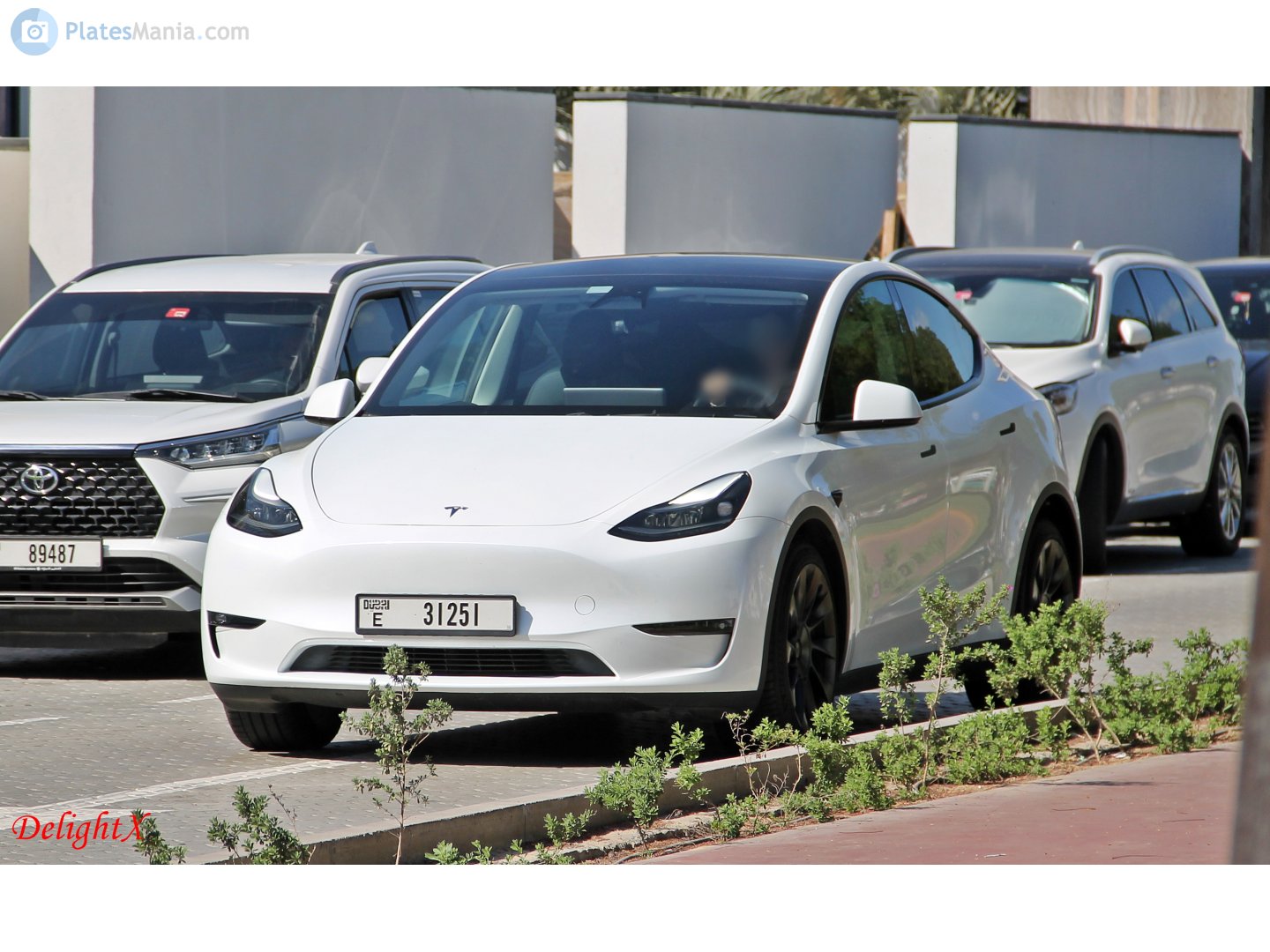 E 31251, Tesla Model Y 1st gen (5YJY), 2020–2025