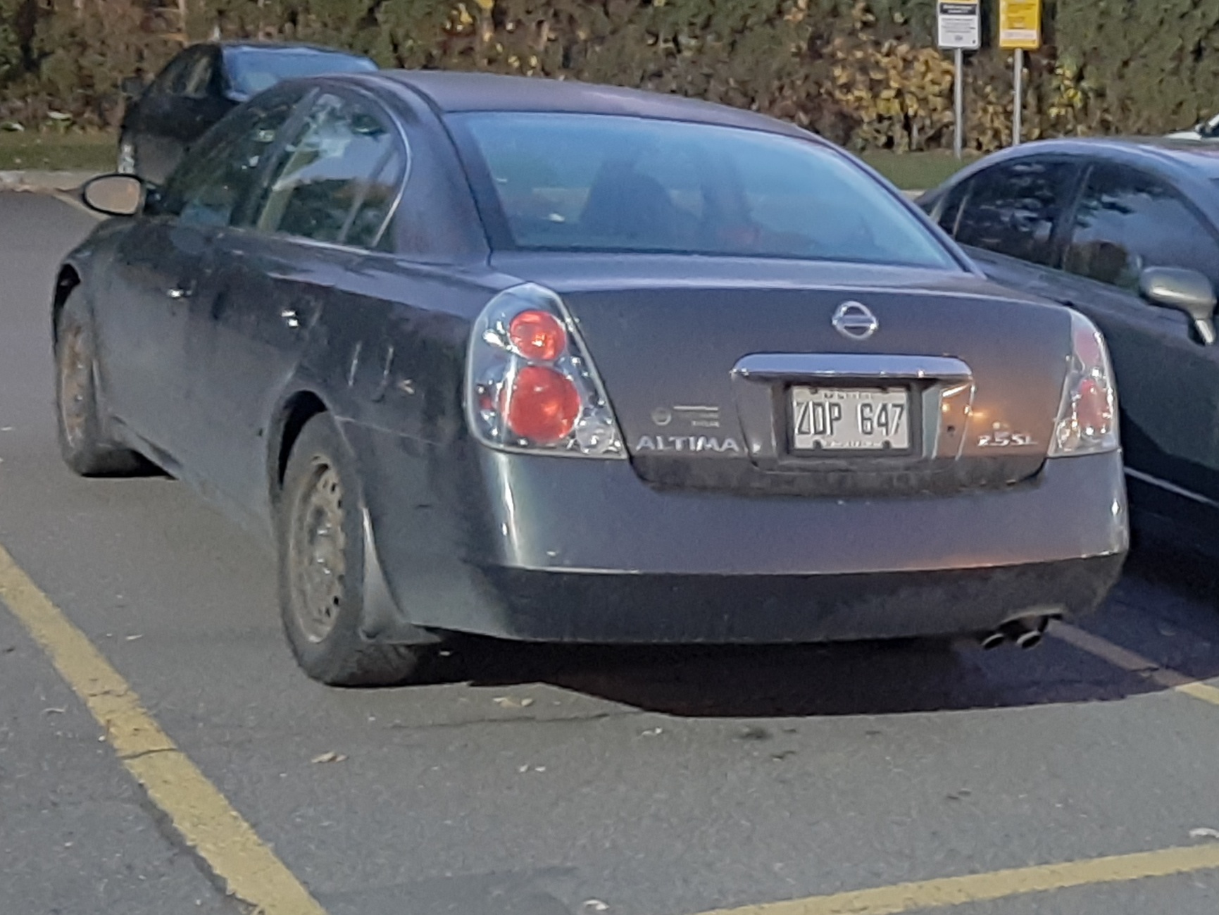 ZDP 647, Nissan Altima 3rd gen (L31), 2001–2006