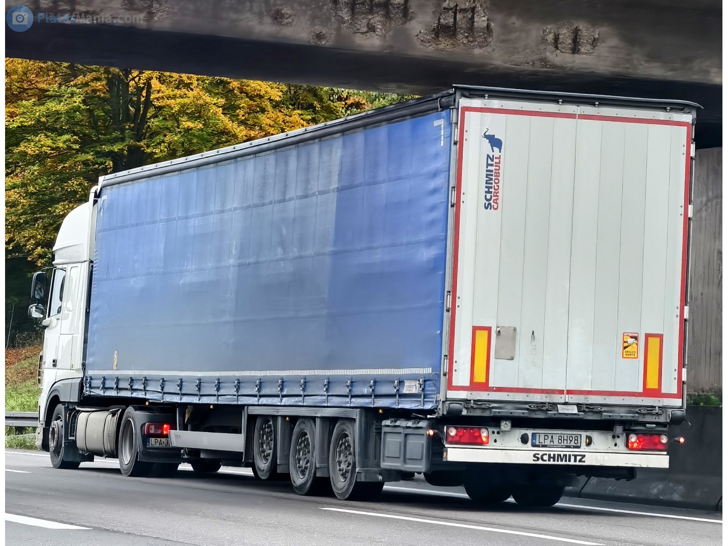 LPA 8H98, Schmitz SCS 