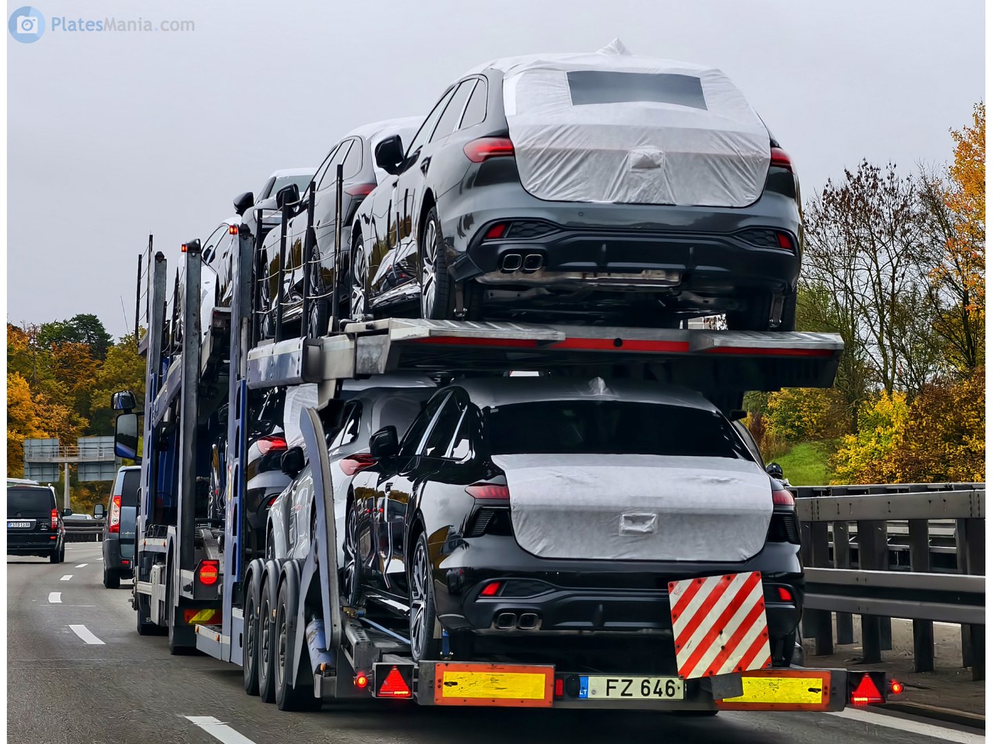 FZ 646, Patikima Linija / RIMO 