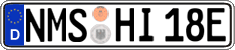 German license plate, Electric vehicles