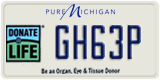 Michigan, Specialty plates (AB12C)