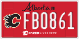 Alberta, Calgary Flames (FA1234)