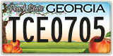 Georgia, ABC 1234
