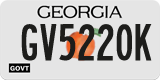 Georgia, Government (GV1234X)