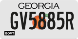 Georgia, Government (GV1234X)