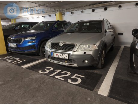 IL-286DK, Skoda Octavia