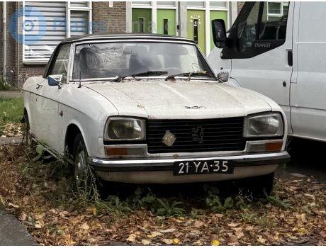 21-YA-35, Peugeot 304