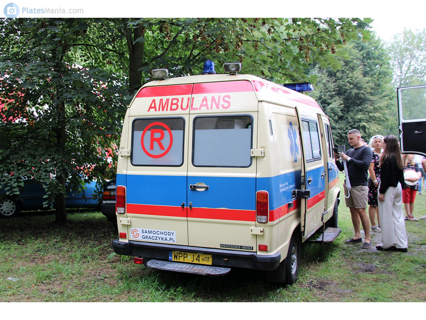 WPP J4, Mercedes-Benz T1 1st gen (601/602/611), 1976–1996