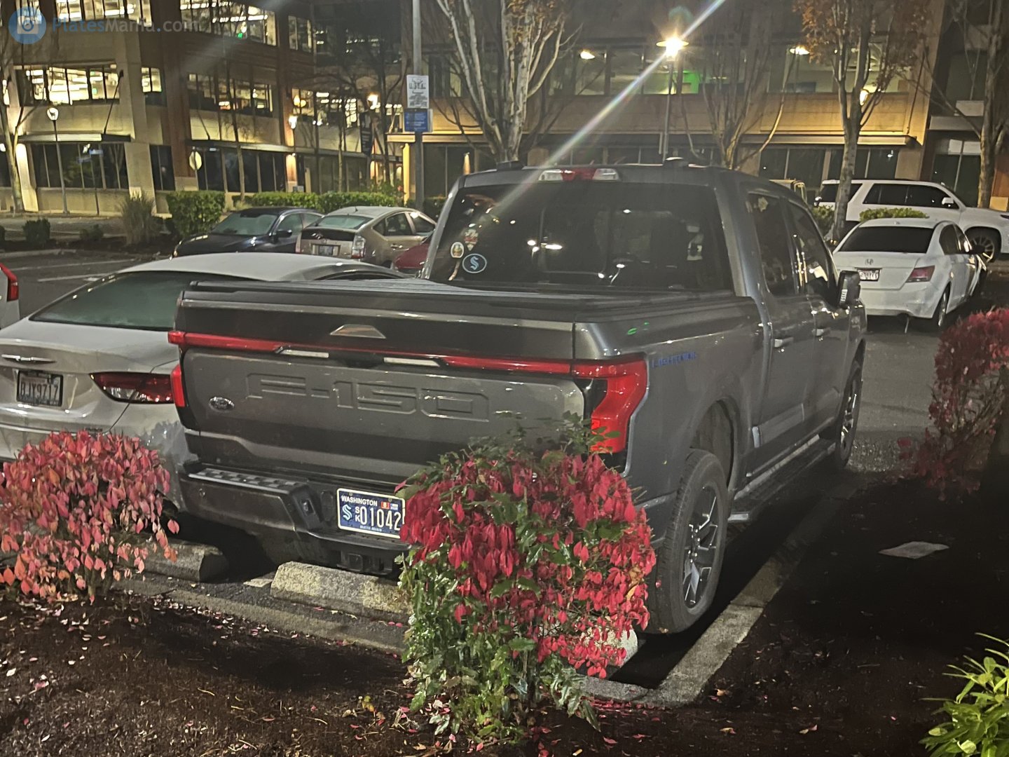 01042, Ford F-150 14th gen Lightning (P702), 2022–