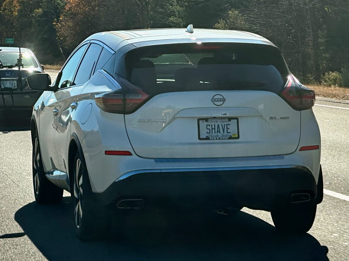 SHAVE, Nissan Murano 3rd gen (Z52), 2014–2024