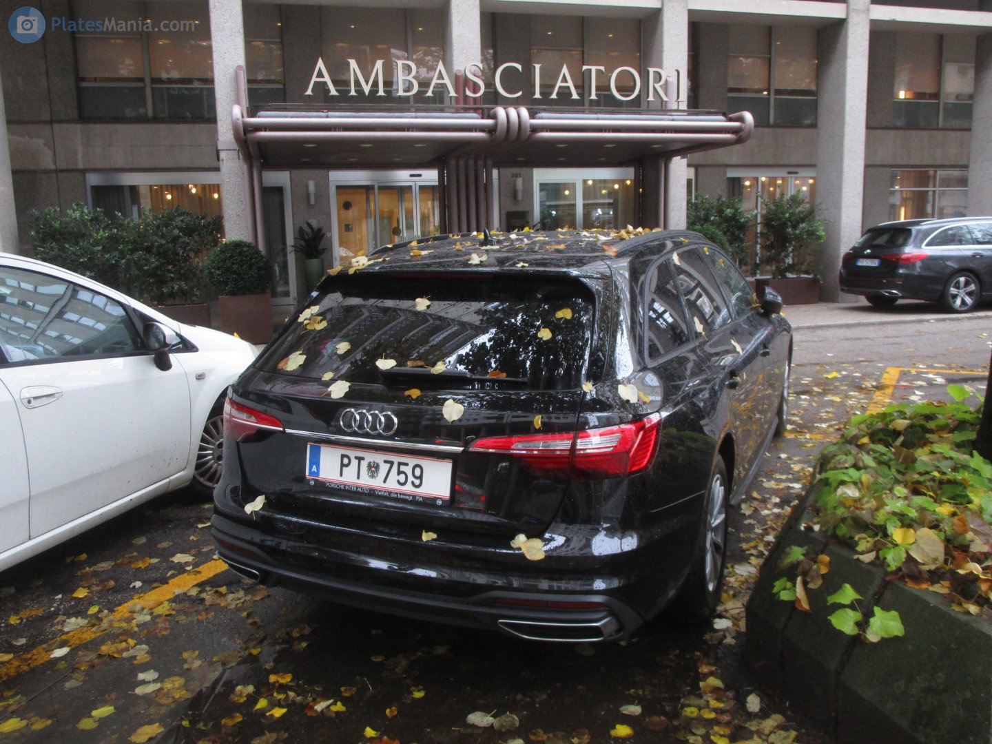 PT 759, Audi A4 5th gen Avant (B9.5/8W5/8WD), facelift, 2019–