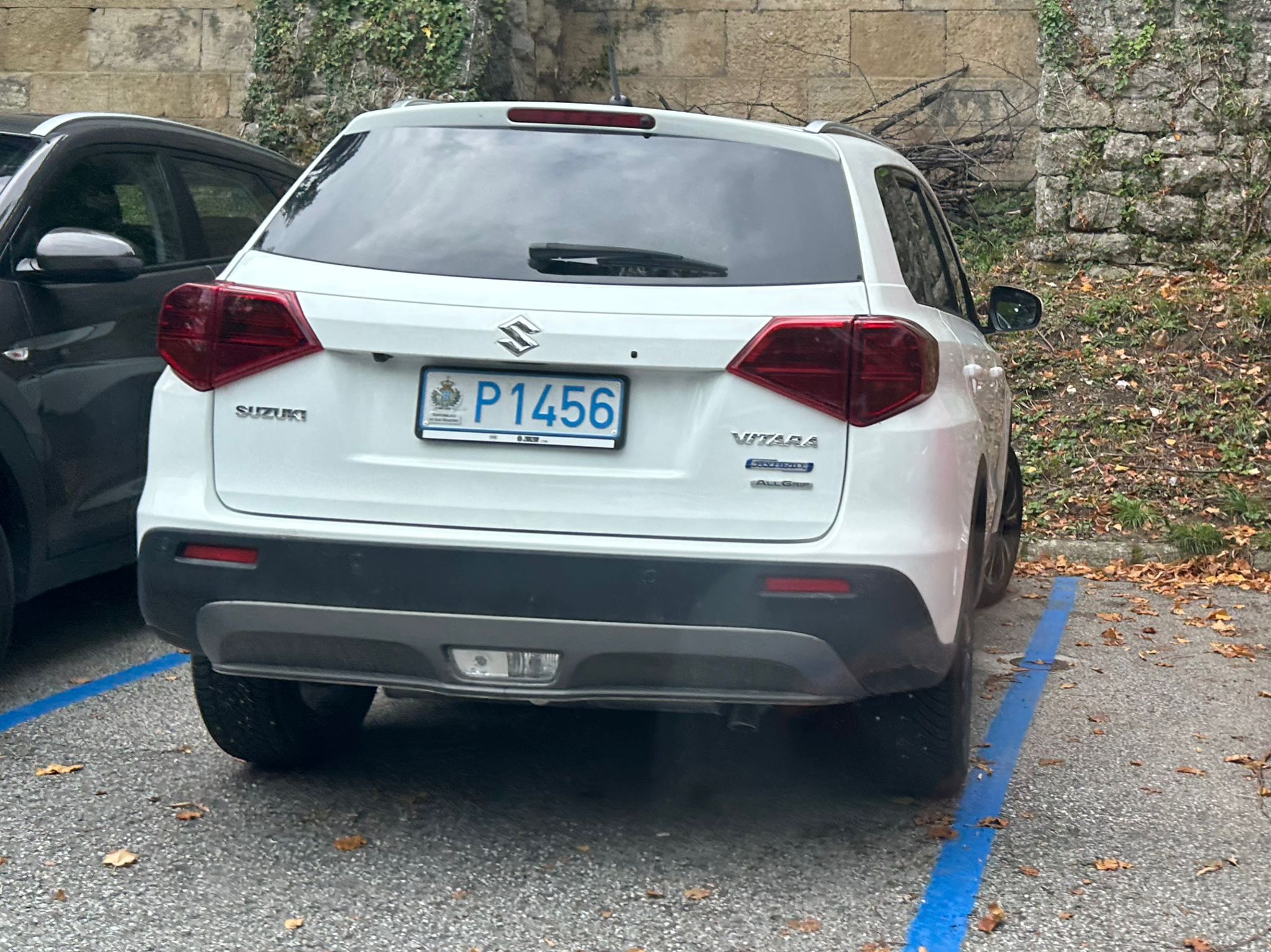 P1456, Suzuki Vitara 