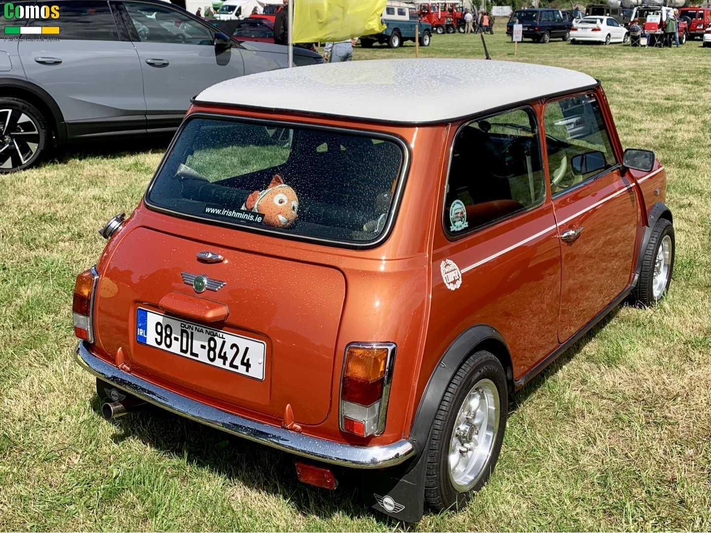 98-DL-8424, Austin Mini 