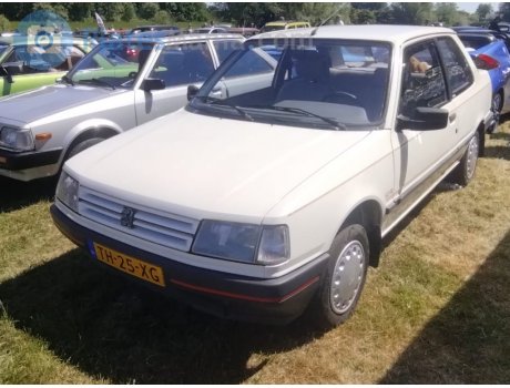 TH-25-XG, Peugeot 309