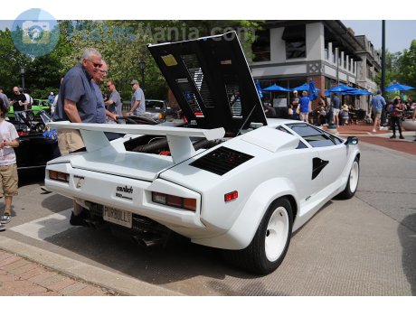 PURBULL, Lamborghini Countach