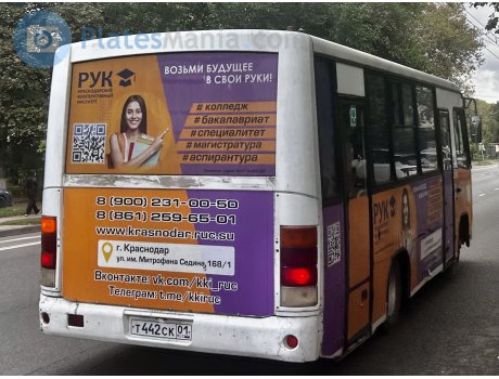 т442ск01, PAZ 3203/3204