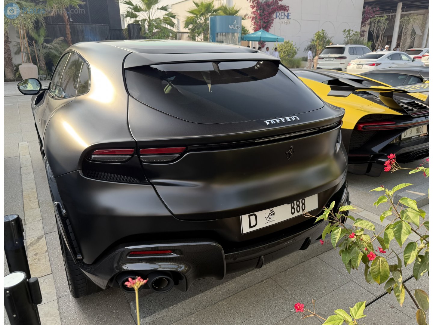 D 888, Ferrari Purosangue 1st gen (F175), 2023–