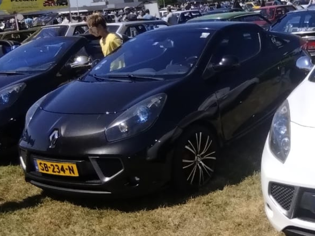 SB-234-N, Renault Wind 1st gen (E33), 2010–2013