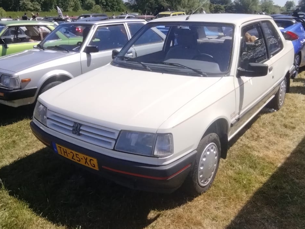 TH-25-XG, Peugeot 309 1st gen 3-door Hatch (10A/C), 1985–1993