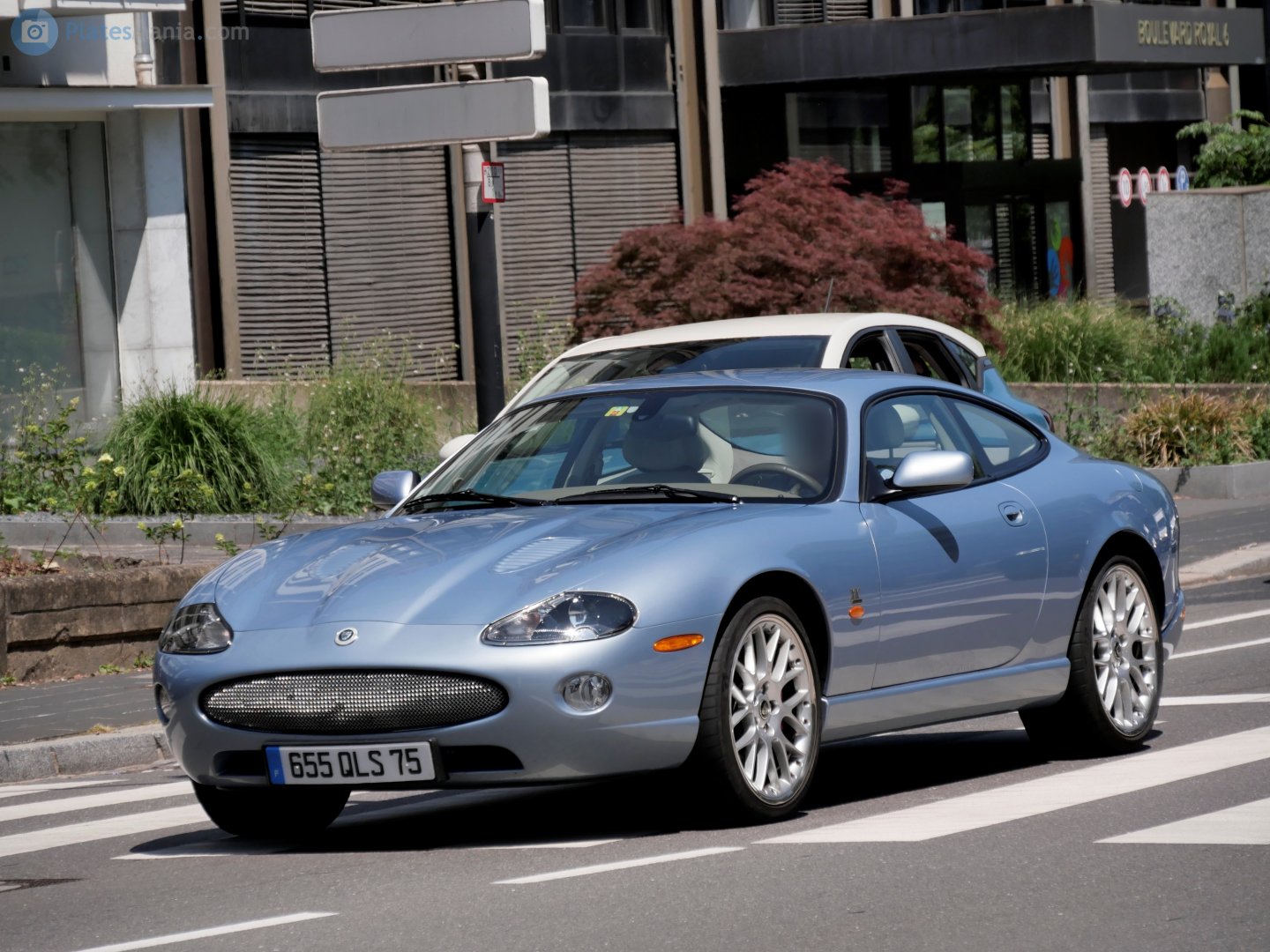 655 QLS 75, Jaguar XKR 1st gen Coupé (X100), 1998–2006