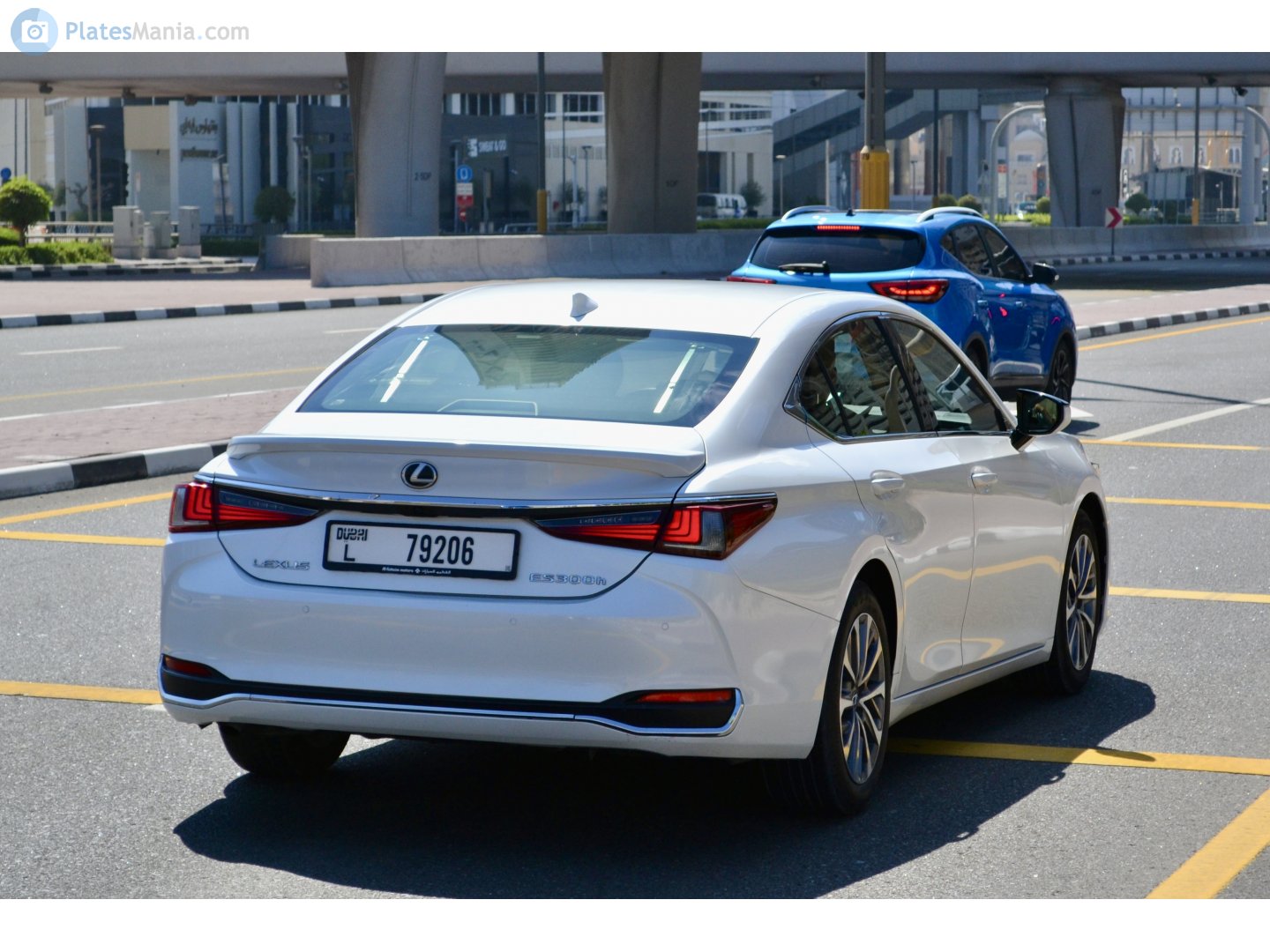 L 79206, Lexus ES 7th gen (XZ10), 2018–