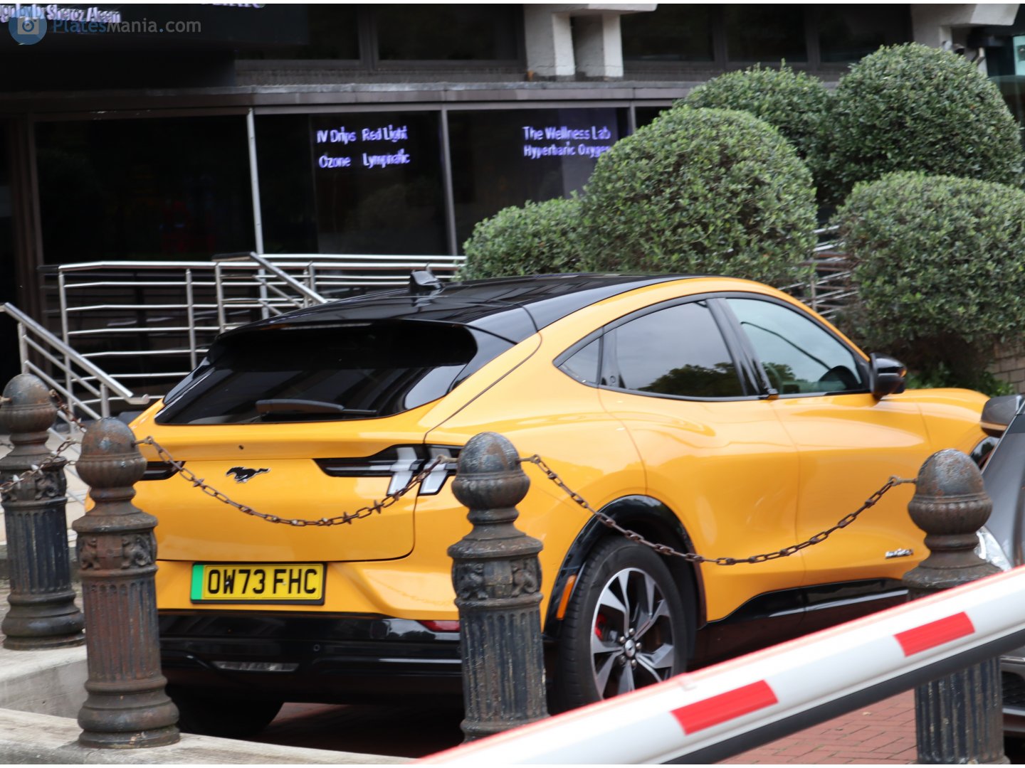 OW73FHC, Ford Mustang Mach-E 1st gen (CX727), 2021–